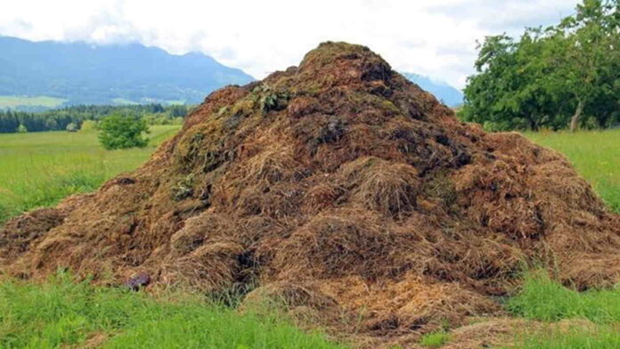 Erick Thohir Sebut, Limbah Pertanian dan Perkebunan Jadi Sumber Energi Bersih Masa Depan