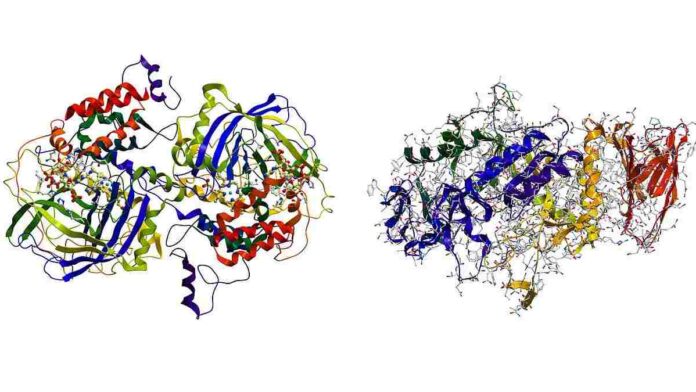 Fungsi Enzim Isomerase Berdasarkan Jenis-jenisnya