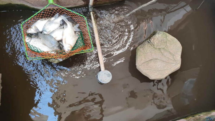 Kota Banjar Pemadaman Listrik