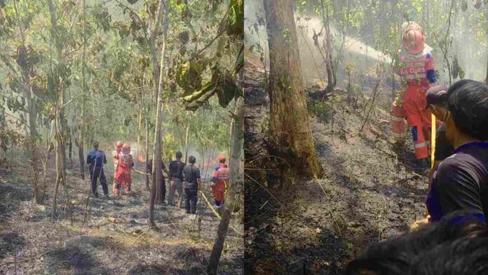 Kebakaran Lahan Kembali Terjadi di Banjaranyar Ciamis