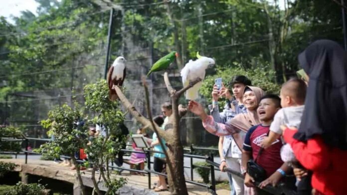 kebun binatang bandung