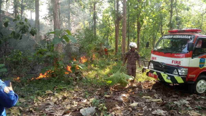 Lahan Perhutani