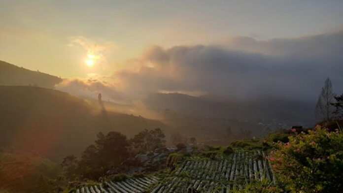 Maha Sky Batu Angkruk Dieng