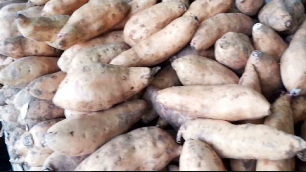 Makanan Khas Sumedang