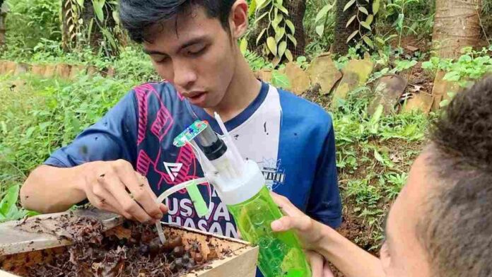 Mengintip Budi Daya Madu Trigona di Putra Galuh Farm Kota Banjar