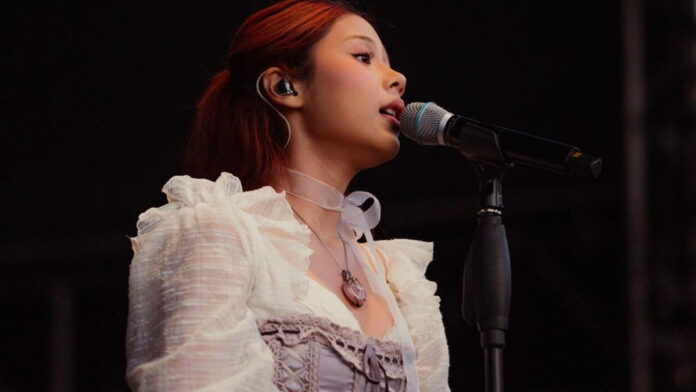Nadin Hamizah Fans