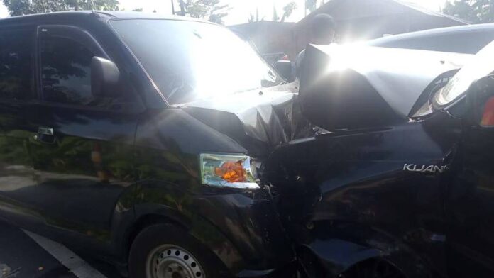 Tabrakan Adu Bagong di Ciamis