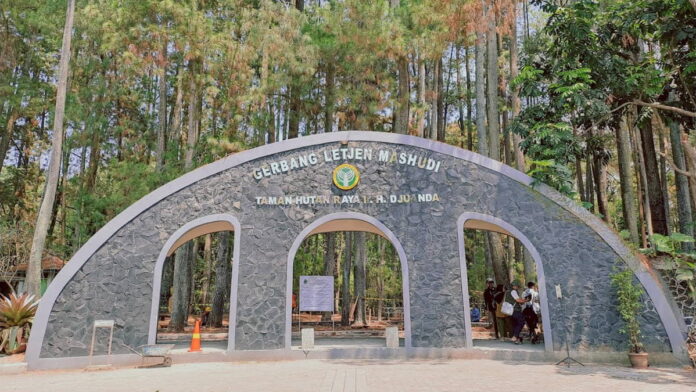 Taman Hutan Raya Djuanda Wisata Populer di Kota Bandung