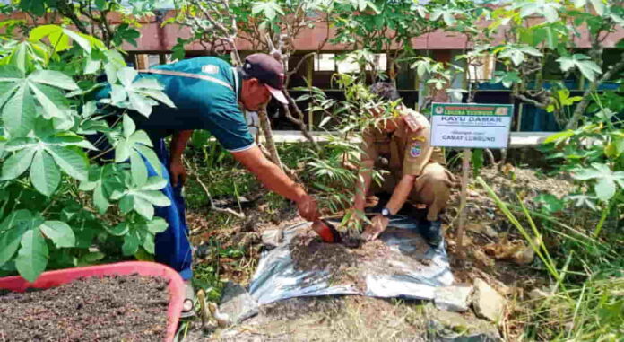 Kelompok Tani Hutan