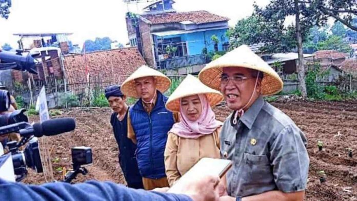 penyerahan dan penanaman bibit cabai di Kota Cimahi