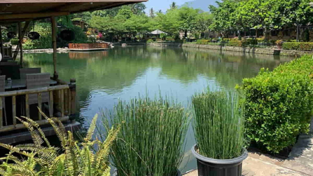 Tempat Makan Enak di Kuningan