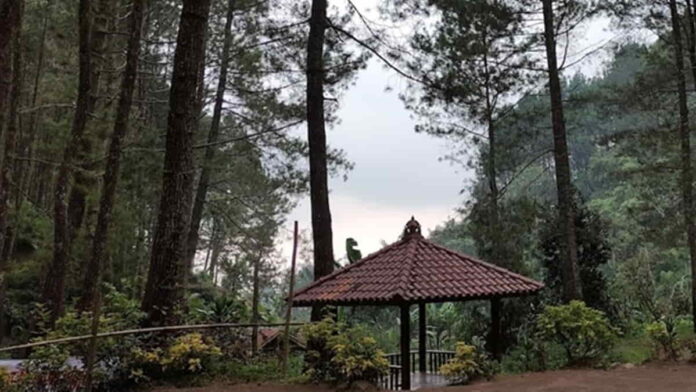 Tempat Wisata Hidden Gem di Garut