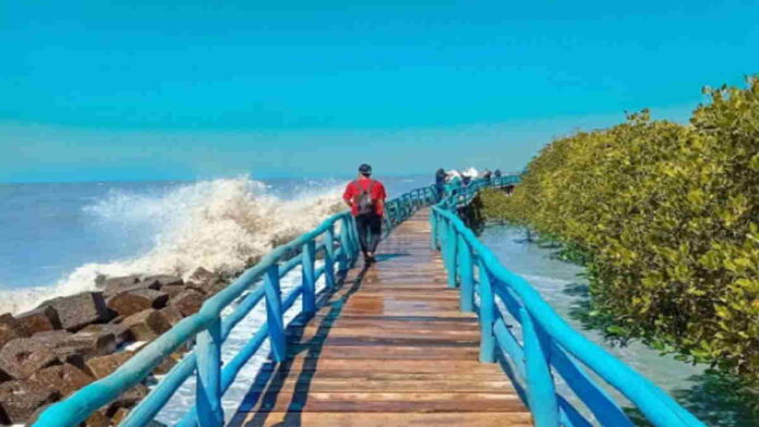 Wisata Pantai Rembat Indramayu sebagai Ekowisata Mangrove