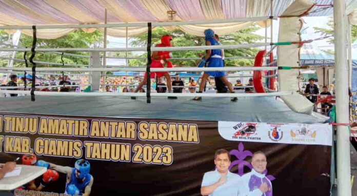 Kejuaraan tinju amatir