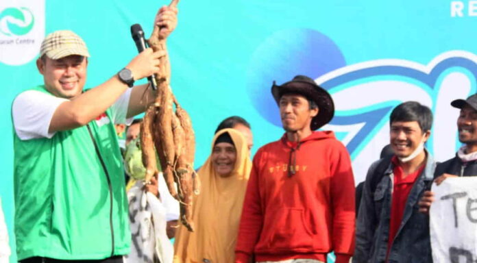 Hasil Bumi