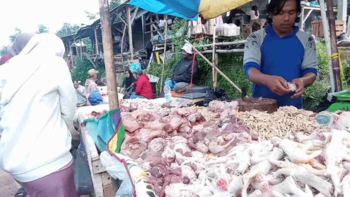 daging ayam ras potong