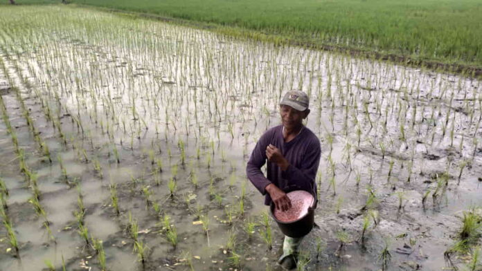 Balai benih di Kota Banjar