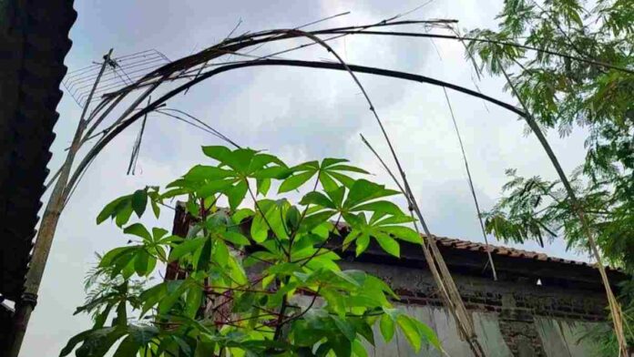 Petir Sambar Rumah