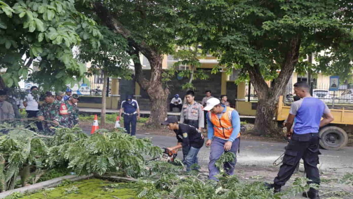 Petugas Gabungan Kota Banjar Pangkas Pohon