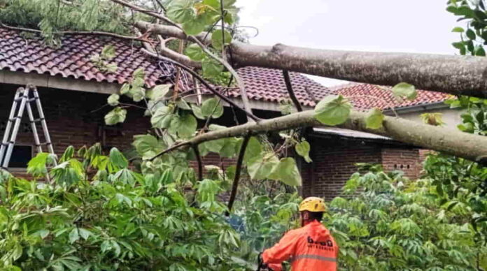 Hujan dan Angin Kencang