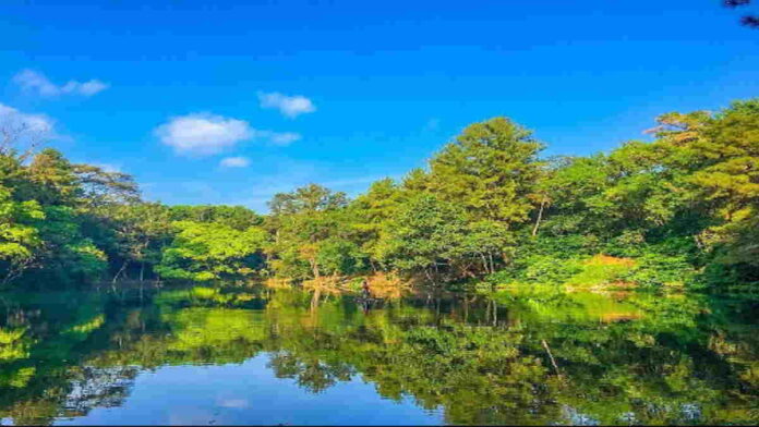 Telaga Remis Kuningan, Tawarkan Area Outbond dan Camping