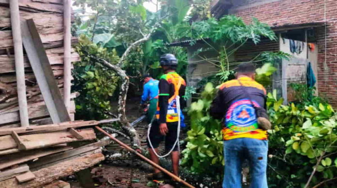 Angin Kencang Terjang Ciamis