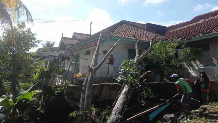 rumah di tasikmalaya tertimpa pohon