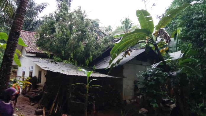 Rumah Rusak Tertimpa Pohon