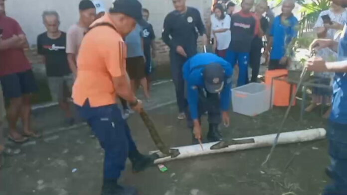 Dikira Tersumbat Sampah, Warga Kota Banjar Malah Temukan Ular Sanca Kembang di Saluran Pembuangan Air