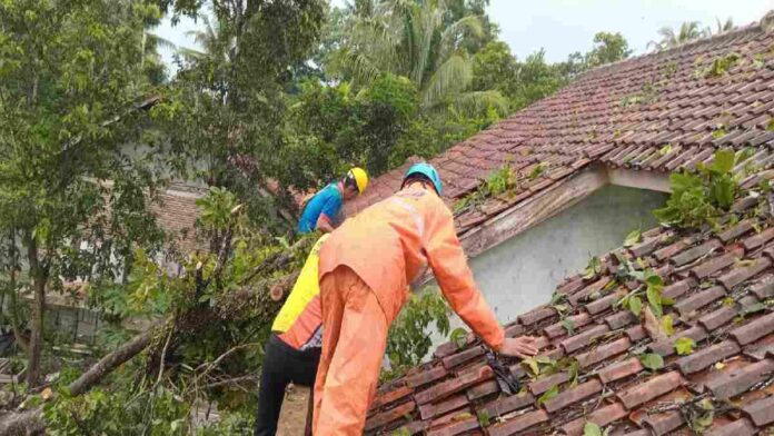 Hujan pohon tumbang rumah