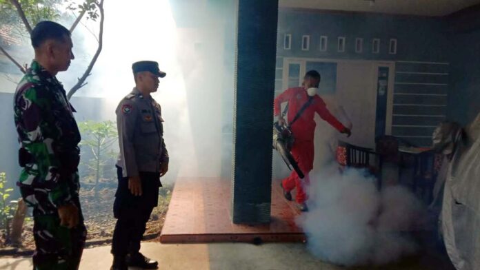 Lagi, Seorang Anak di Kota Banjar Terkena DBD