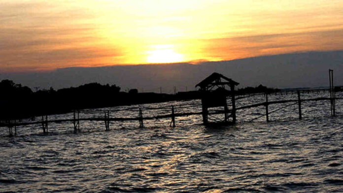 Pantai Tanjung Baru di Karawang, Pesona Bahari yang Elok