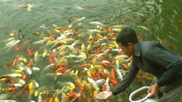 Budidaya ikan di Jabar
