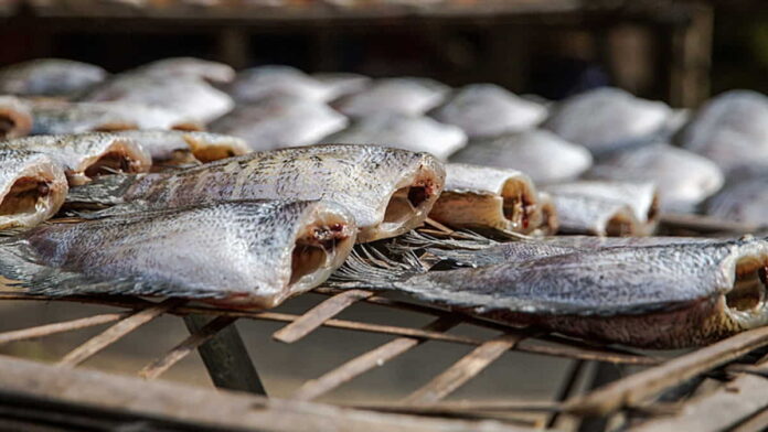 Angka konsumsi ikan di Ciamis naik