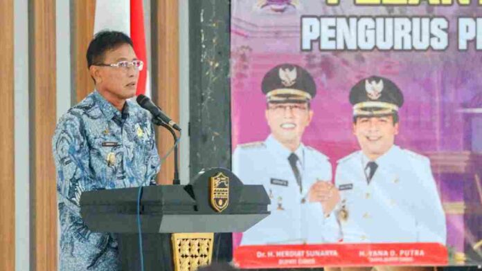 PPDI Ciamis Desa