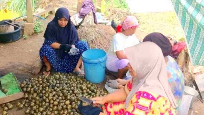 Perajin kolang-kaling Banjar