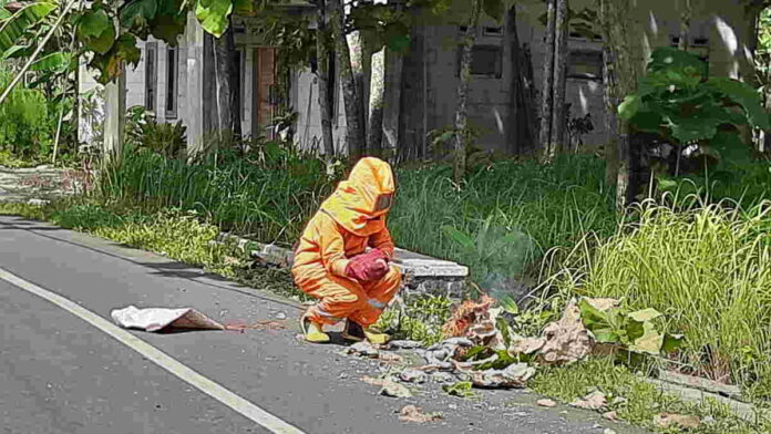 Petugas Damkar Musnahkan Sarang Tawon yang Jatuh ke Tengah Jalan di Banjarsari Ciamis