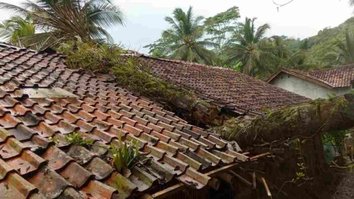 Rumah Pohon Aren tumbang
