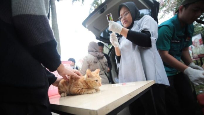 DKPP Kota Bandung akan gelar vaksin rabies gratis