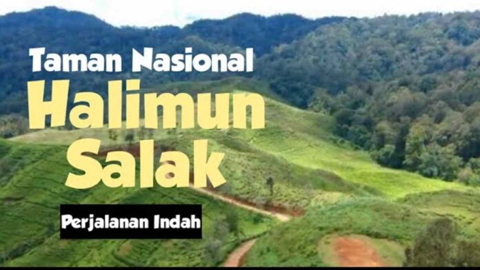 Taman Nasional Gunung Halimun Salak, Keragaman Flora dan Fauna_