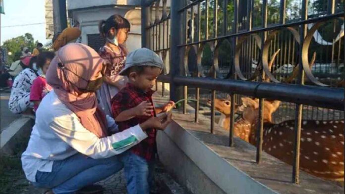 Taman Rusa Gedung Negara Cirebon, Wisata Edukatif yang Murah