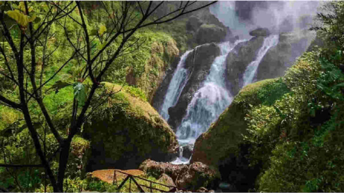 Curug Citambur Cianjur, Air Terjun dengan Keindahan Memukau