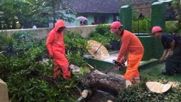 Angin Kencang dan Hujan Lebat