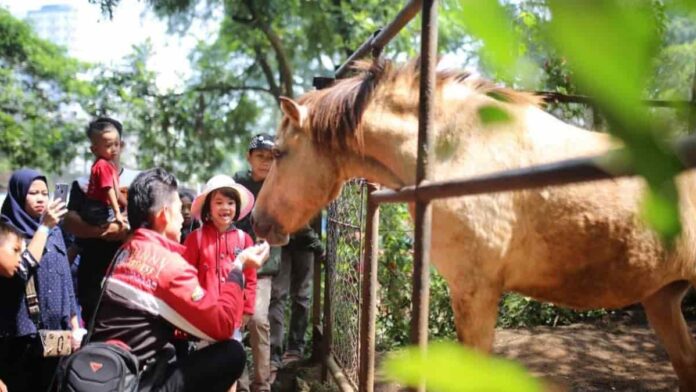 jumlah kunjungan wisatawan ke Kebun Binatang Bandung