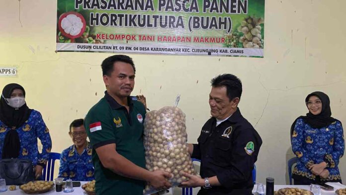 Panen Raya, Herry Dermawan Harapkan Duku Cililitan Jadi Ikonik Ciamis