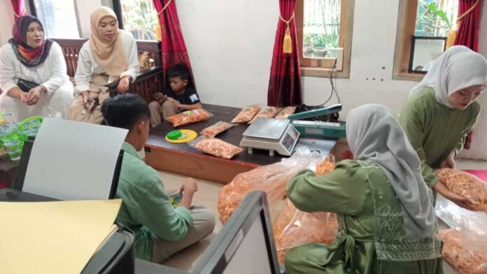 bantuan modal UMKM