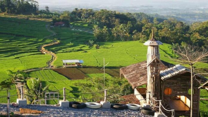 Ciboer Pass Majalengka, Wisata Terasering Sawah Super Keren