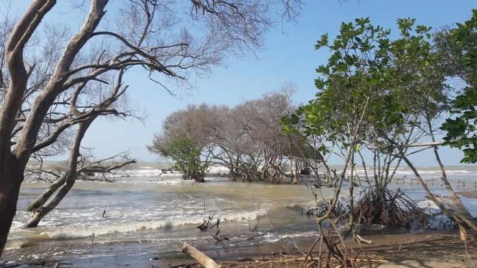 Pantai Cirewang Subang, Penuh dengan Spot-spot Instagenic