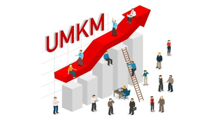 UMKM profesional