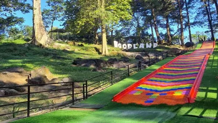 Wisata Woodland Kuningan yang Penuh dengan Wahana Seru